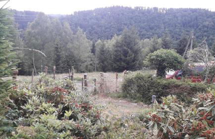 Ferienhaus Goldisthal - Photo 13