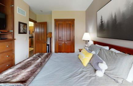 Allegheny Spg - Cozy Condo Ski from our patio - Foto 6