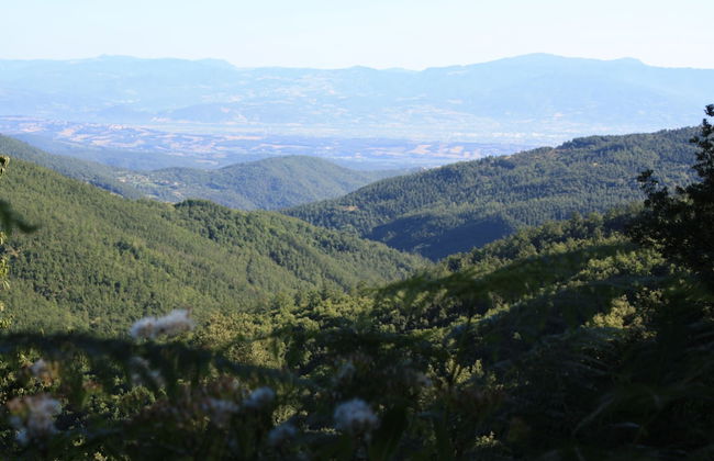Farmhouse in Umbria Near Palazzo Bourbon - Foto 38