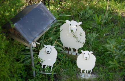 Elbe Ferien - Foto 34