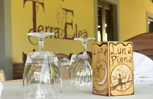 Agriturismo Terra Di Elea azienda agricola di Raimondo MIchela - Foto 3