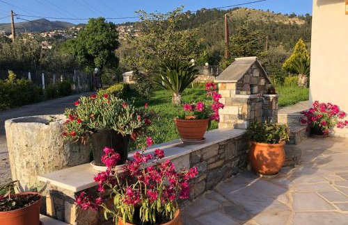 Παραδοσιακό σπίτι με τζάκι - Foto 20