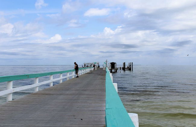 16316 Tortuga - Photo 17