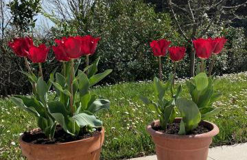 Casa Sant Angelo - Photo 62