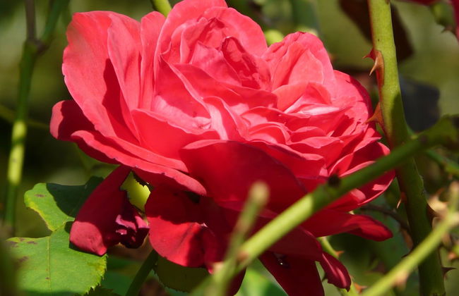 Tenuta Tenaglia - Photo 20