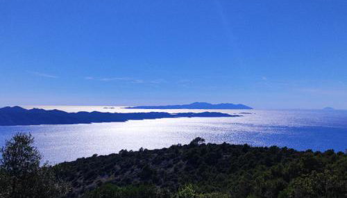 Kameni cvijet - Foto 4