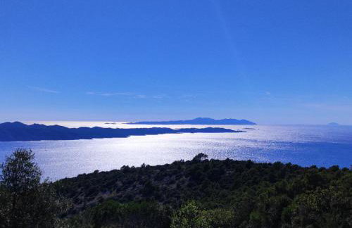 Kameni cvijet - Foto 4