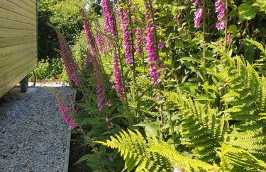 Cornwall Luxury Hot Tub Huts - Foto 10