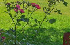 Ferienwohnung Steinbeisser - Foto 4