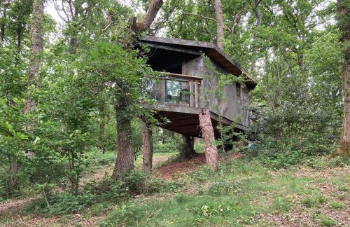 3 Guests - Pet Friendly - Grid Tree-House - Foto 19