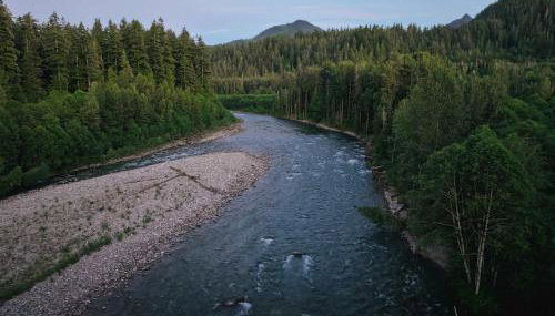 Sauk River Cabins - Hot tub - Firepit - Foto 4