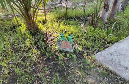 Sitio Santo Antonio - Photo 22