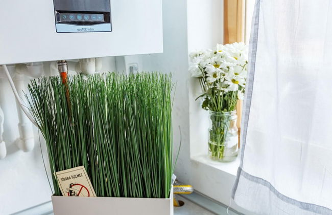 Cozy Apartment in the Old City of Istanbul - Foto 9