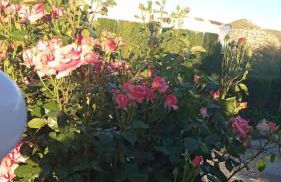 Cueva de la abuela - Foto 48