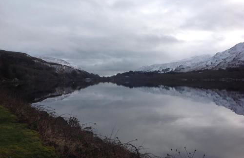 The Garden Flat - Photo 54