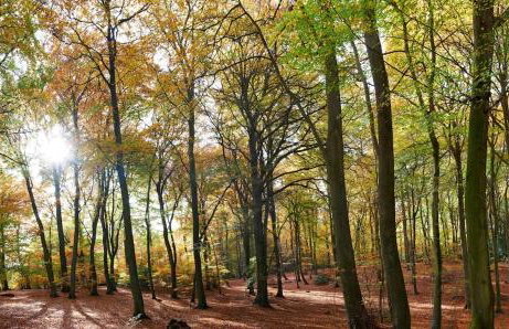 Marlow Family Retreat, Short Stroll into Town - Photo 46