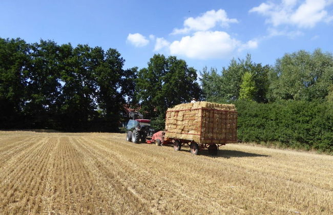 Time out Adendorf Comfortable Vacation Home - Foto 21