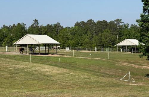 Hidden Stables on Chancey Pond Rentals, LLC - Foto 21