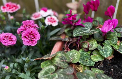 Apartamentos Natura Cantabria - Foto 6