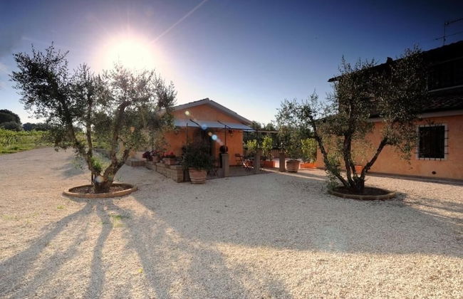 Cerchio Verde - Foto 58