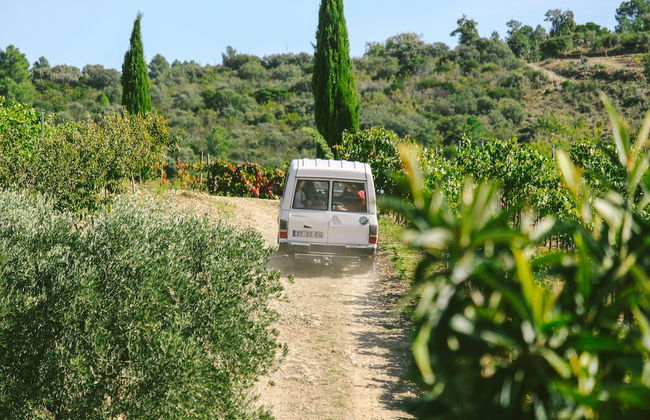 Casa Darcã - Foto 50