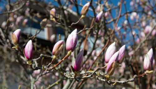 Ferienwohnung Unter dem Schwalbennest - Foto 2
