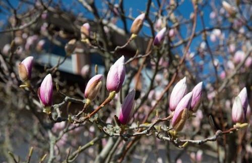 Ferienwohnung Unter dem Schwalbennest - Foto 2