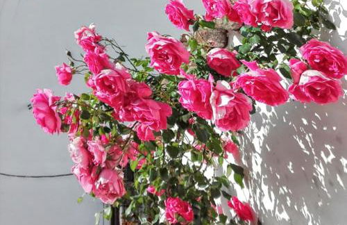 Cozy house with garden in Messines 149 m² mountain view - Foto 20