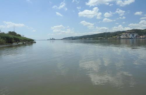 the writer's neighbor I - Foto 38