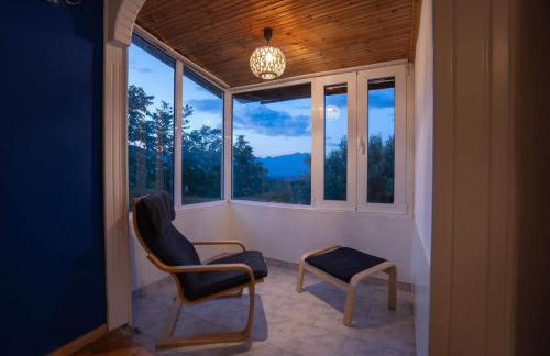 Gurba's House - Photo 6