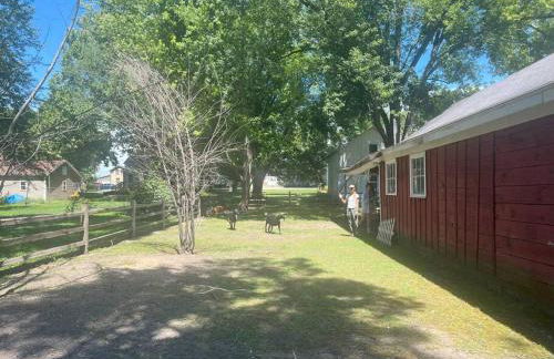 The Goat Farm - Foto 35