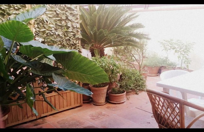 Casa Vacanze Nel Cuore del Salento - Foto 8