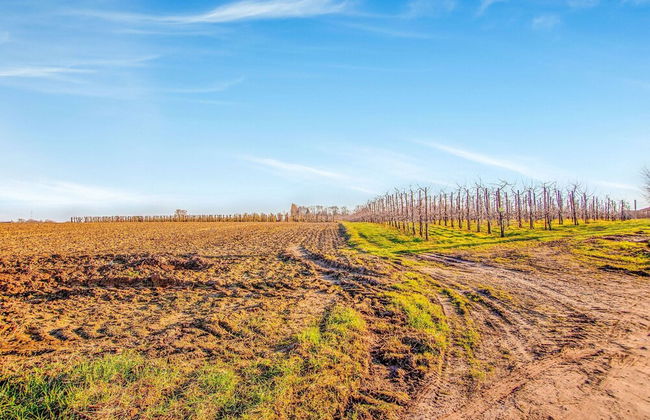 Holiday Home in Gijverinkhove Near Plopsaland - Foto 50