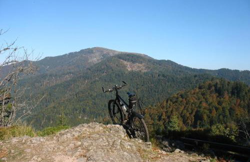Ferienwohnung 'auf dem Burstel' - Photo 24