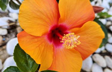 Casa Veintiuno en Calp Mealindy - Photo 22