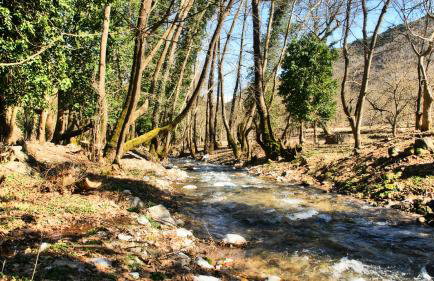 Chalet Coquelicot (Co-cli-co) relax in nature - Photo 54