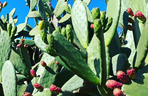 Quinta da Asneira - Foto 47