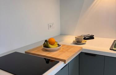 maison individuelle avec jardin terrasse proche Lyon croix rousse - Foto 26