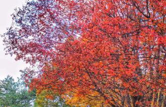 Fuente Del Arca - Foto 33