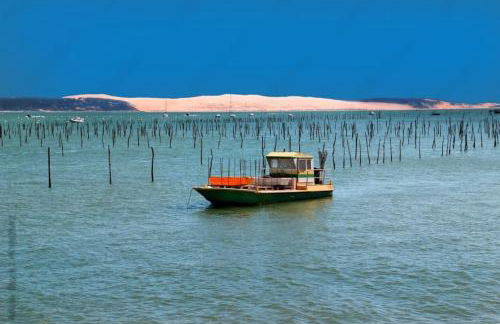 Appartement centre d'Arcachon à 400 m de la plage - Foto 3