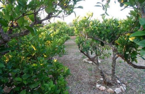 Jenny`s House - Photo 29