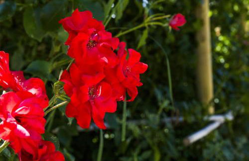 AGRITURISMO Case Catalano - Foto 31