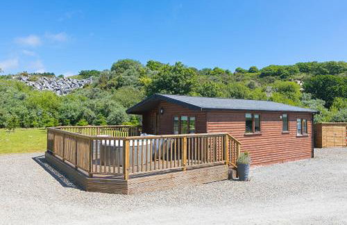 Costentyn, Tor Down Quarry - Foto 33