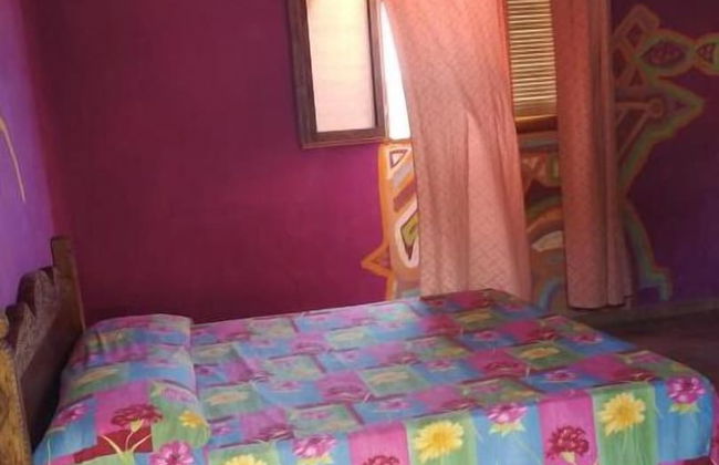 Agriturismo Lo Scrigno - Foto 17