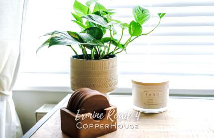 Designer apartments for City Breaks in Chester - Photo 45