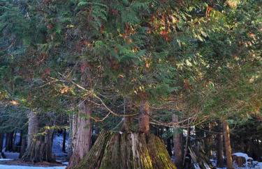 Ahrs Creek Retreat In the Timber - Foto 38