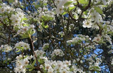 Dimore Granaio nr5 Wine & Countryside Experience, welcome box, free parking & pool - Photo 44