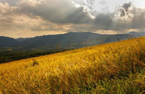 Agriturismo Carovane - Photo 11