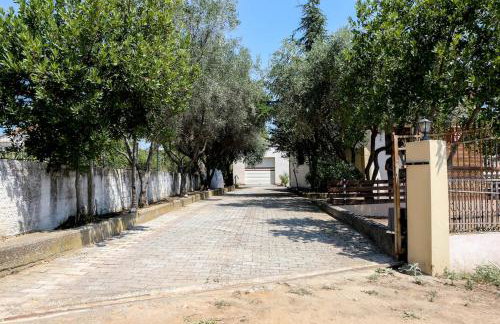 Village House - Photo 4