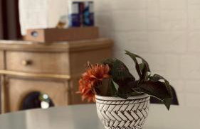 Apartamento aconchegante à 500m da praia - Vitória - Photo 10